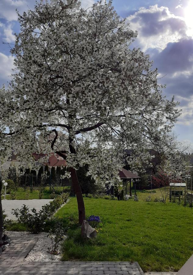 Premium Vendégház Eger Extérieur photo